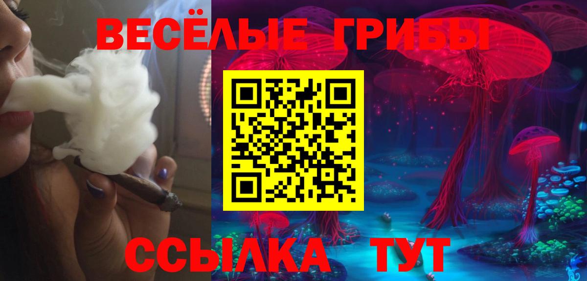 Советская Гавань  Псилоцибиновые грибы прущие грибы  закладка  Вход с VPN 